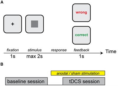 Cerebellar tDCS Does Not Enhance Performance in an Implicit Categorization Learning Task